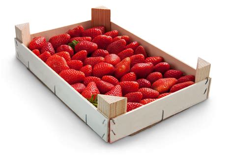 distribution on strawberries box|where do strawberries go.